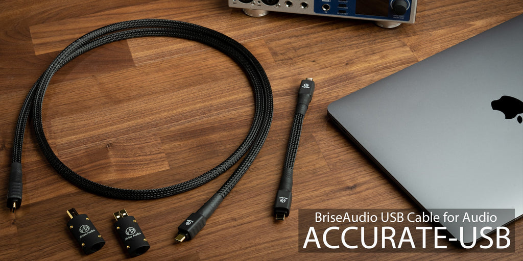 ケーブル・シールド Brise audio ACCURATE USB C to C 17cm Brise Audio ACCURATE-USB OTG TYPE-C to C 17cm [ACCUSBOTG